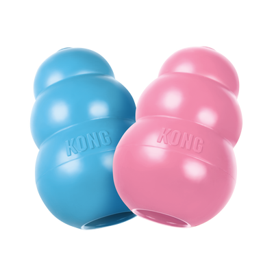 Kong Puppy Medium