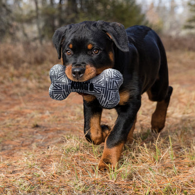Kong Maxx Bone Medium/Large