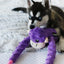 ZippyPaws Monkey RopeTugz – Purple