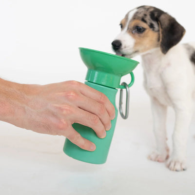 Springer Mini Dog Travel Bottle 15oz - Green