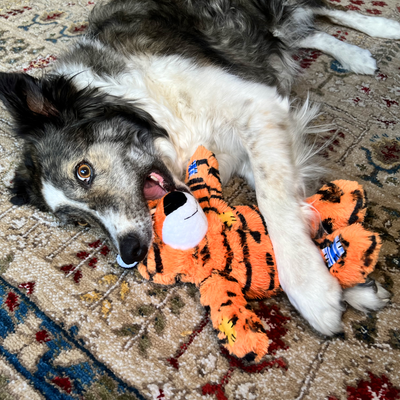 Kong Wild Knots Tiger Medium/Large