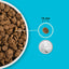 Acana Highest Protein Pacifica 2kg