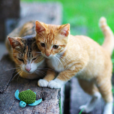 Kong Refillables Catnip Turtle