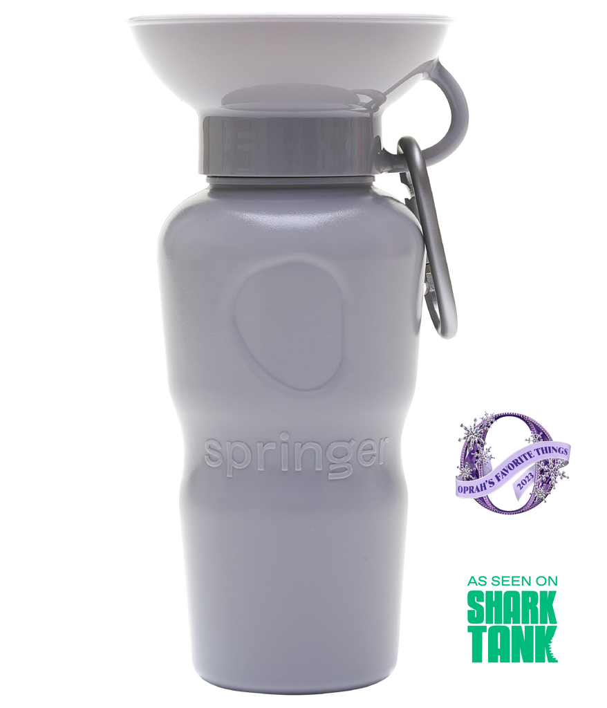 Springer Classic Dog Water Bottle 22oz - Grey
