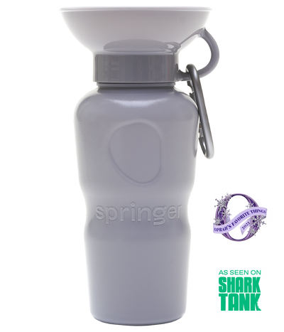 Springer Classic Dog Water Bottle 22oz - Grey