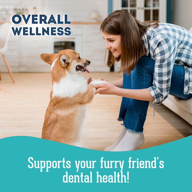 Granville Pet Treatery Gasp! My Breath is Stinky - Nutra Bites Oral Health Supplement For Dogs 240g