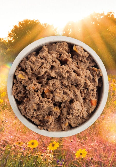 Acana Premium Pate Puppy Recipe 363g