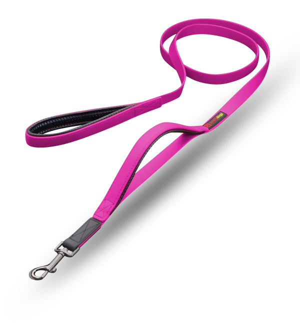 Smellydogz 6' Double Handle Lead - Pink