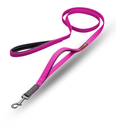 Smellydogz 6' Double Handle Lead - Pink