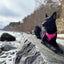 Smellydogz Pink Comfort Harness - Medium