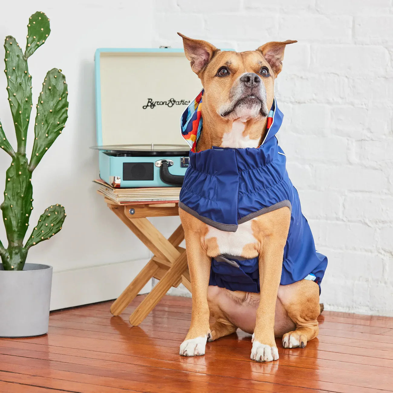 GF Pets Zoom Reversible Dog Raincoat | Navy Retro - Medium
