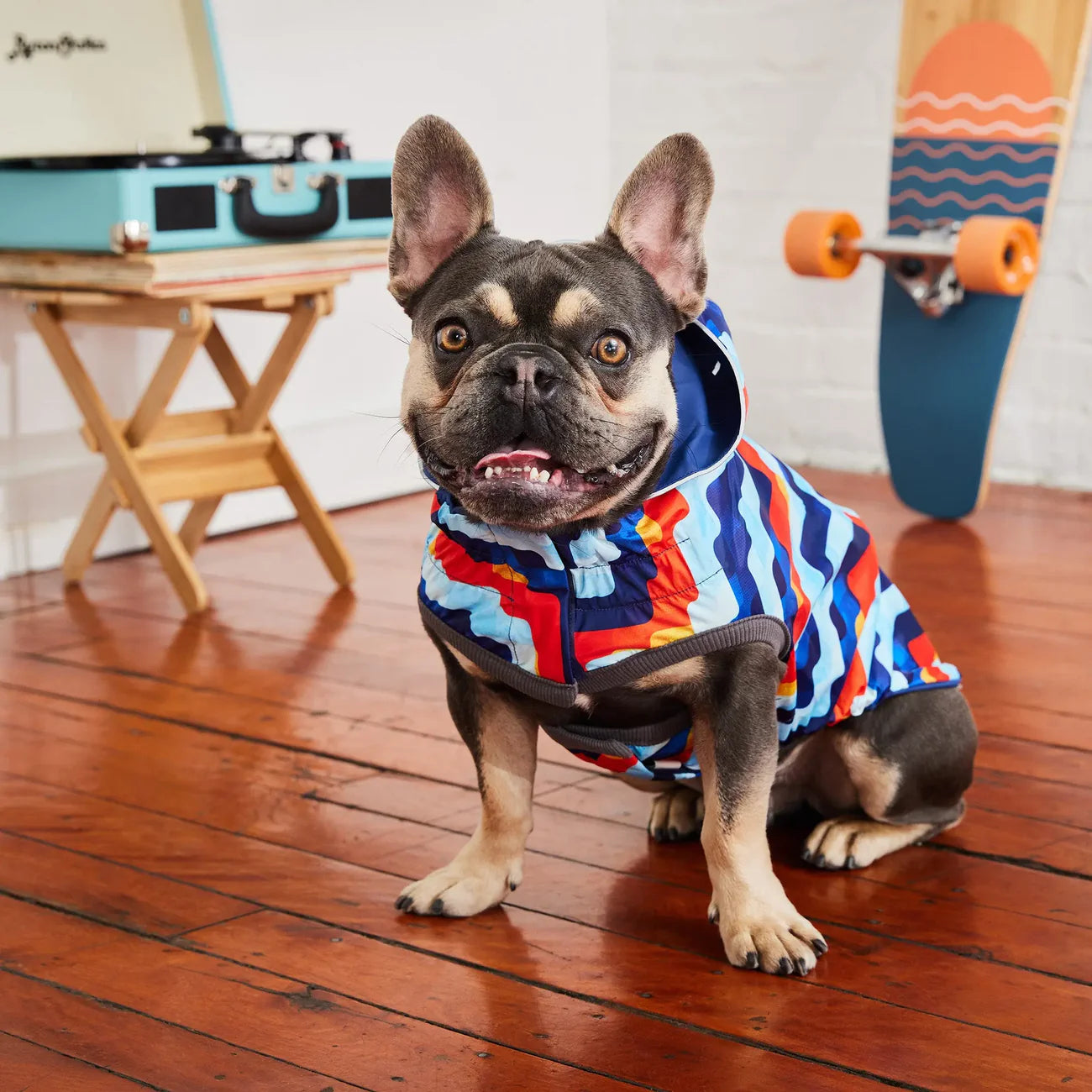 GF Pets Zoom Reversible Dog Raincoat | Navy Retro - Medium