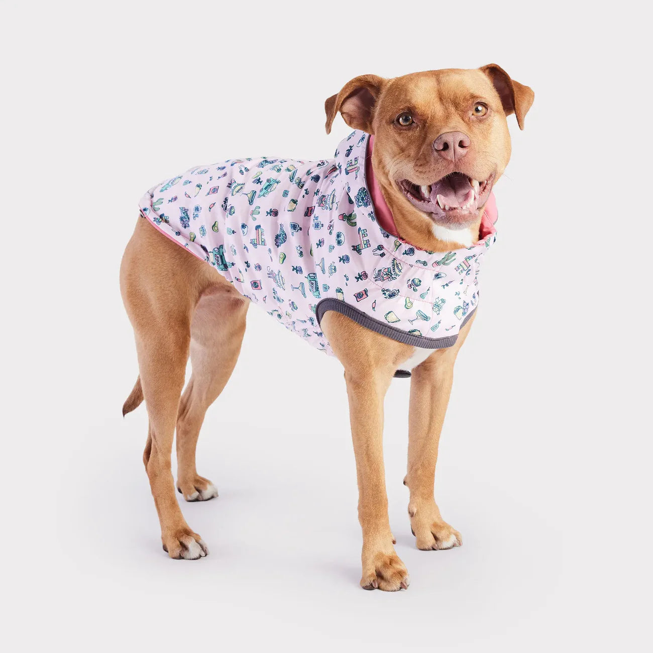 GF Pets Reversible Dog Raincoat | Pink Fiesta - Large
