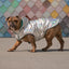 GF Pets Reversible Dog Raincoat | Neon Aqua & Iridescent - 3XL