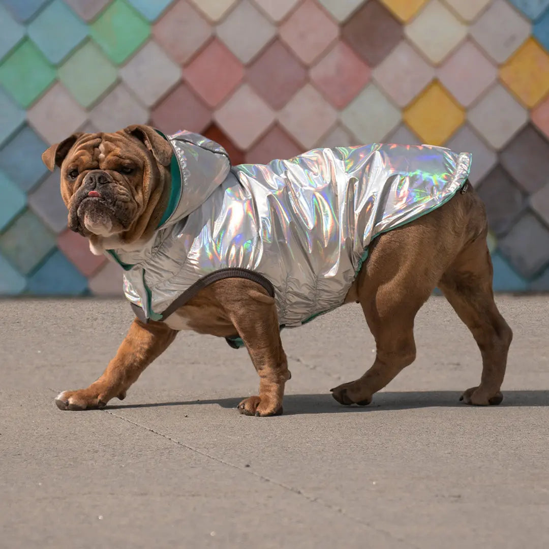 GF Pets Reversible Dog Raincoat | Neon Aqua & Iridescent - 3XL
