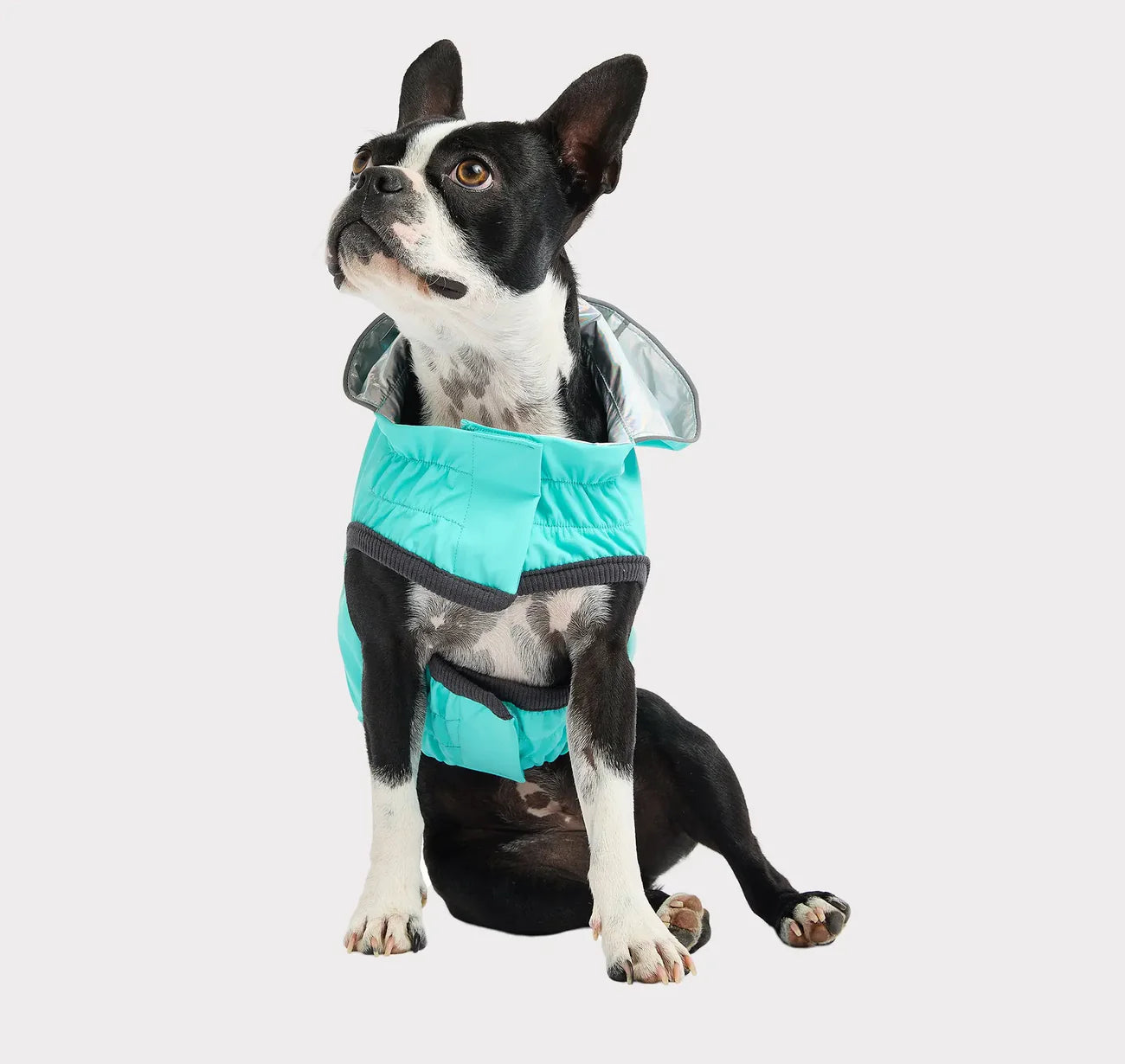 GF Pets Reversible Dog Raincoat | Neon Aqua & Iridescent - 3XL