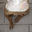 GF Pets Reversible Dog Raincoat | Neon Aqua & Iridescent - 3XL