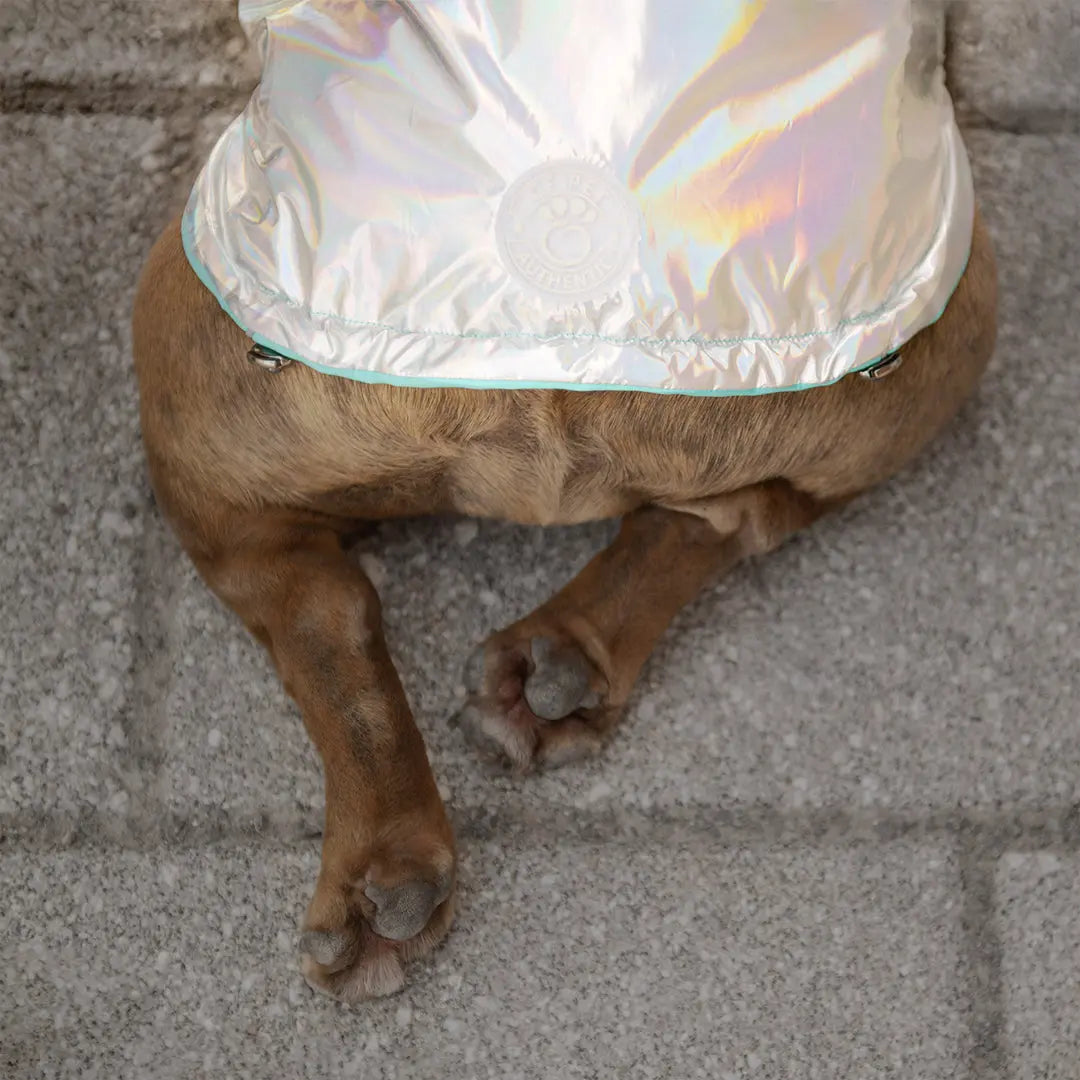 GF Pets Reversible Dog Raincoat | Neon Aqua & Iridescent - 3XL