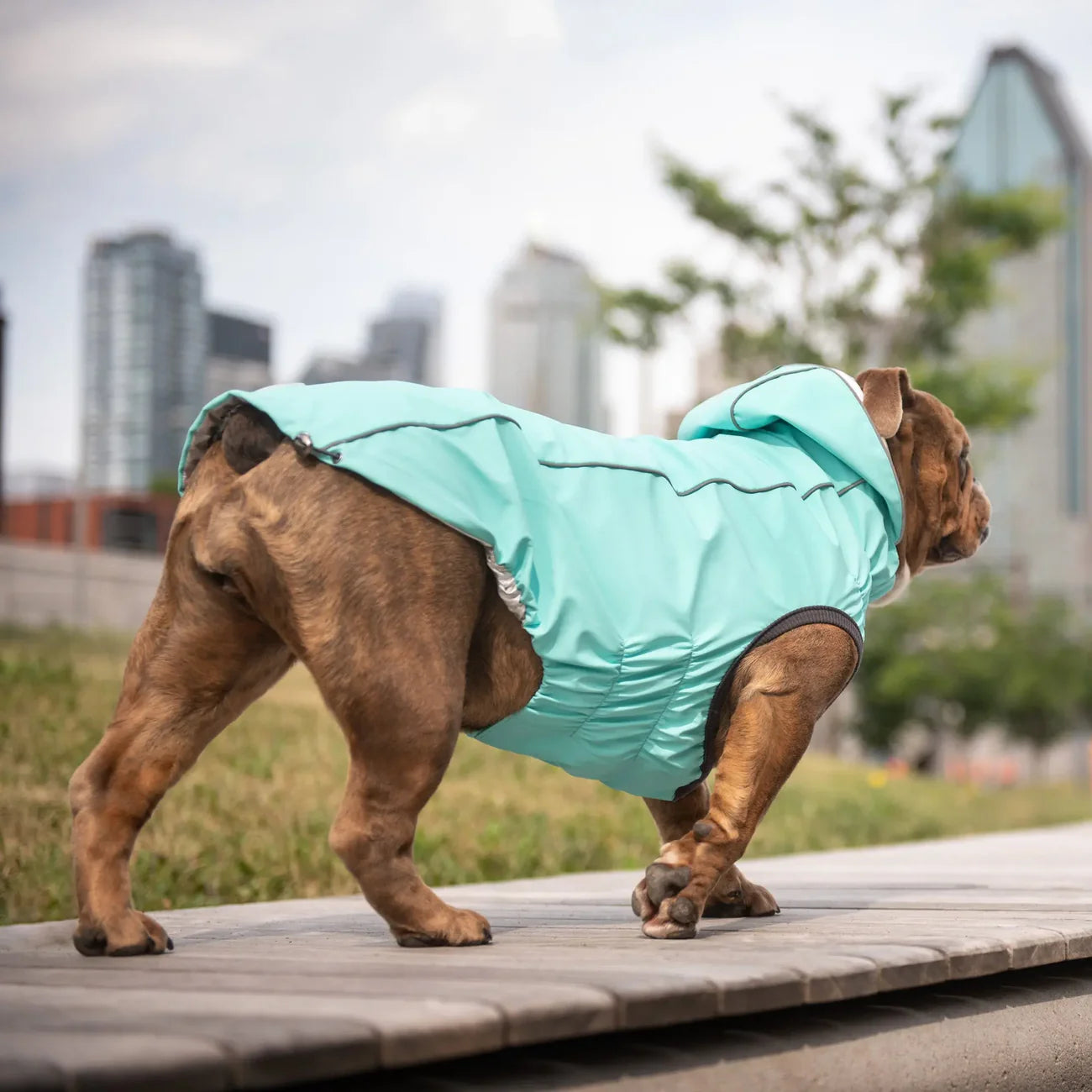 GF Pets Reversible Dog Raincoat | Neon Aqua & Iridescent - 3XL