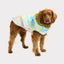GF Pets Zoom Reversible Dog Raincoat | Neon Yellow and Tie-Dye - Large