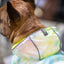 GF Pets Zoom Reversible Dog Raincoat | Neon Yellow and Tie-Dye - Large