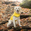 GF Pets Reversible Dog Raincoat | Yellow Leaves - Medium