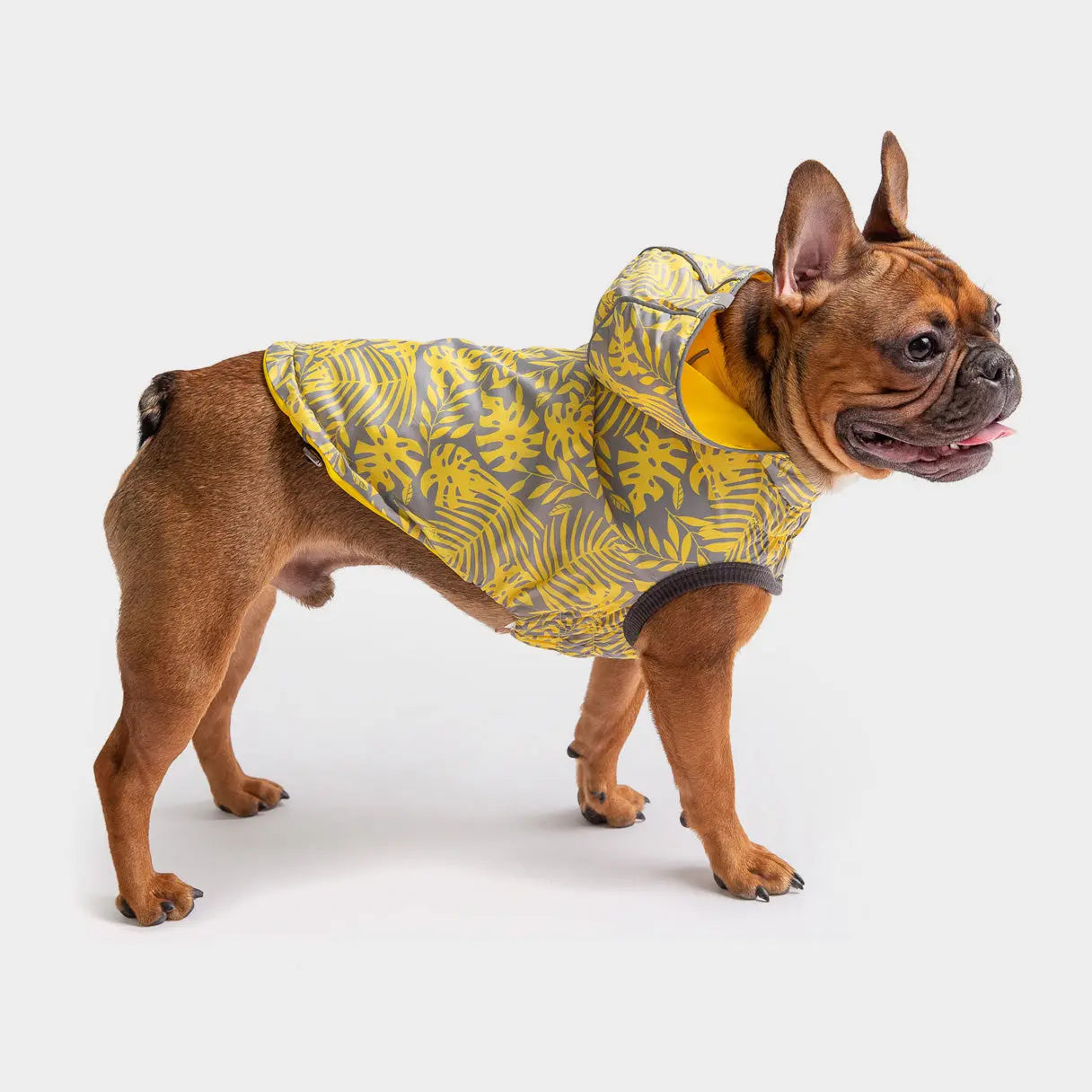 GF Pets Reversible Dog Raincoat | Yellow Leaves - Medium