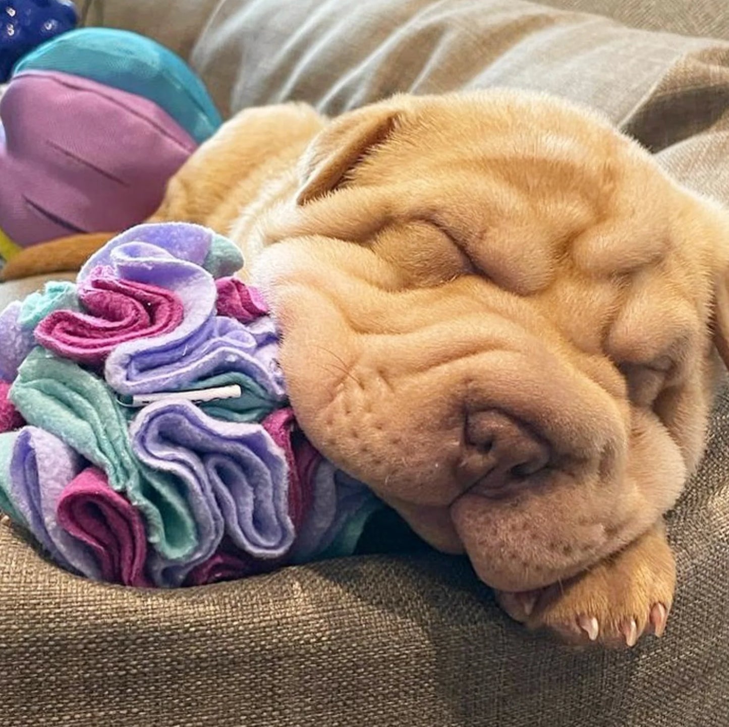 Fou Fou Brands Snuffle Pink Small