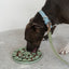 DexyPaws Silicone Enrichment Snuffle Mat - Sage Green