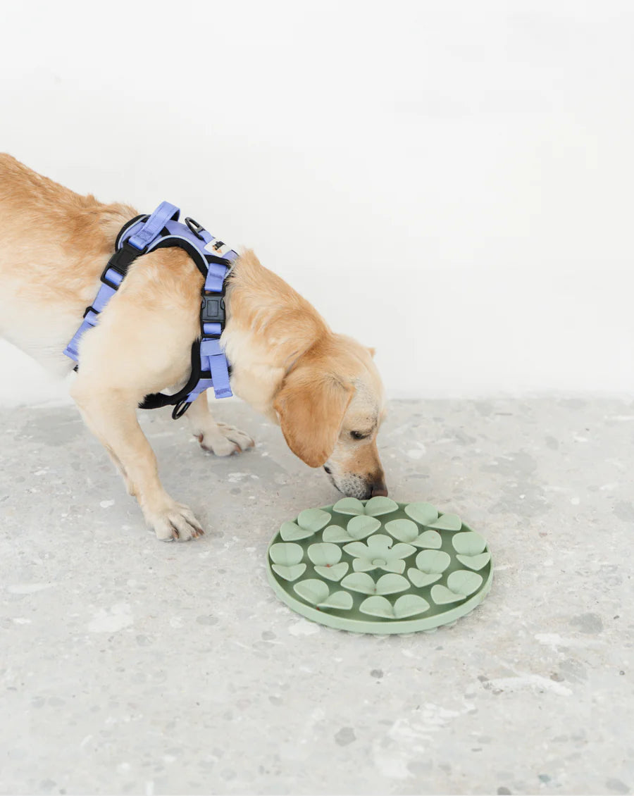 DexyPaws Silicone Enrichment Snuffle Mat - Sage Green