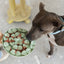 DexyPaws Silicone Enrichment Snuffle Mat - Sage Green