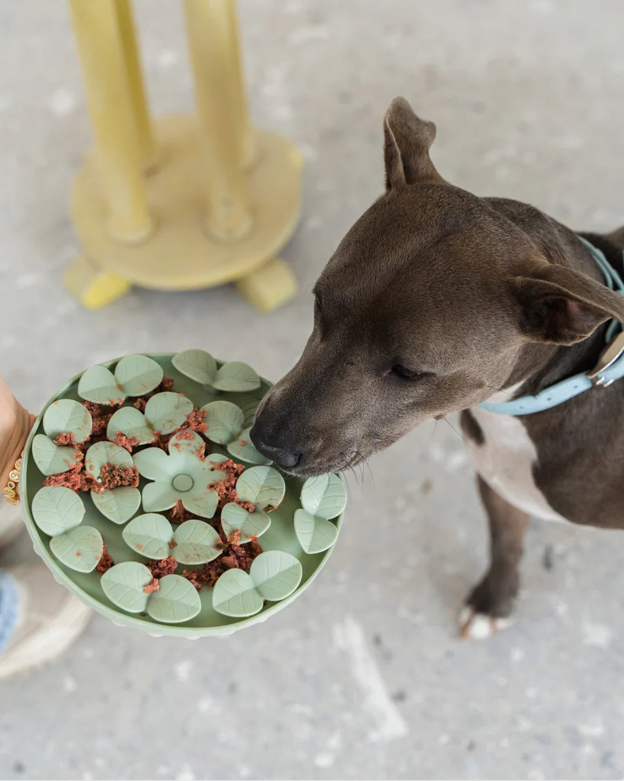 DexyPaws Silicone Enrichment Snuffle Mat - Sage Green