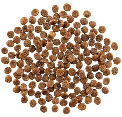 Go! Solutions Skin & Coat Grain Free Salmon Recipe 16lb