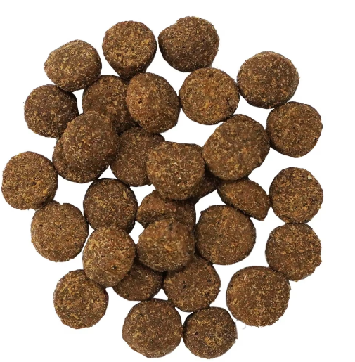 Go! Solutions Digestion & Gut Health Salmon & Ancient Grains 22lb