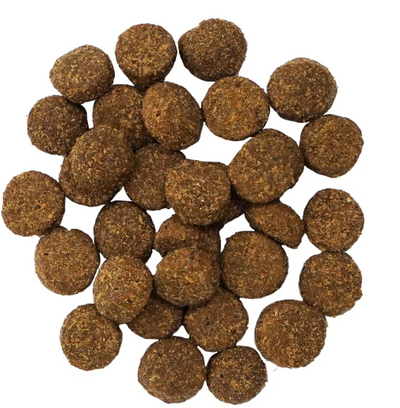 Go! Solutions Digestion & Gut Health Salmon & Ancient Grains 22lb