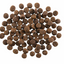 Go! Solutions Skin & Coat Lamb Recipe with Grains 22lb