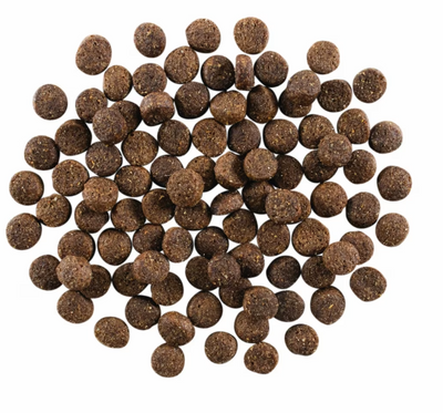 Go! Solutions Sensitivities Lamb Recipe with Grains 12lb