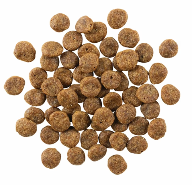 Go! Solutions Sensitivities Limited Ingredient Grain Free Salmon Recipe 12lb
