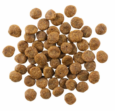 Go! Solutions Sensitivities Limited Ingredient Grain Free Salmon Recipe 12lb