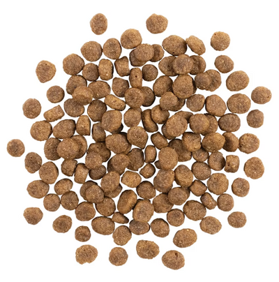 Go! Solutions Sensitivities Limited Ingredient Grain Free Small Bites Salmon Recipe 3.5lb