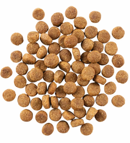 Go! Solutions Skin & Coat Duck Recipe with Grains 3.5lb