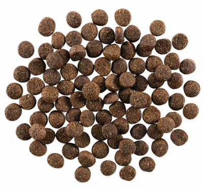 Go! Solutions Skin & Coat Dog Lamb Recipe with Grains 12lb