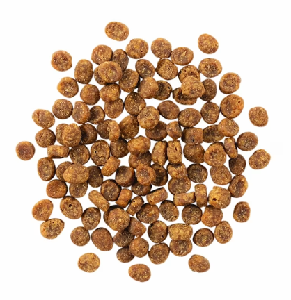 Go! Solutions Sensitivities Limited Ingredients Grain Free Salmon Recipe 3lb