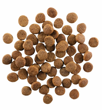 Go! Solutions Carnivore Grain Free Chicken, Turkey & Duck Puppy Recipe 12lb