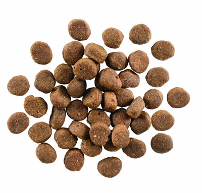 Go! Solutions Carnivore Grain Free Lamb & Boar Recipe 12lb