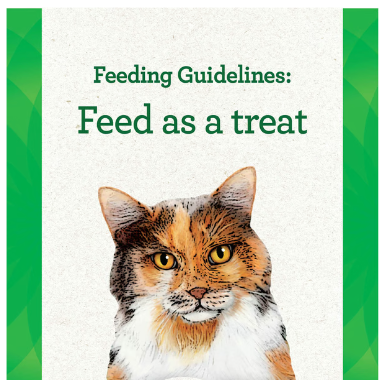 Greenies Feline Pill Pockets Salmon Flavour 45g