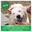 Greenies Large Adult Dental Treats Original 170g