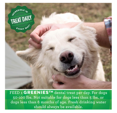 Greenies Large Adult Dental Treats Original 170g