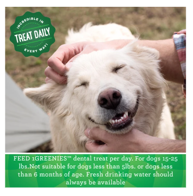 Greenies Petite Adult Dental Treats Original 170g