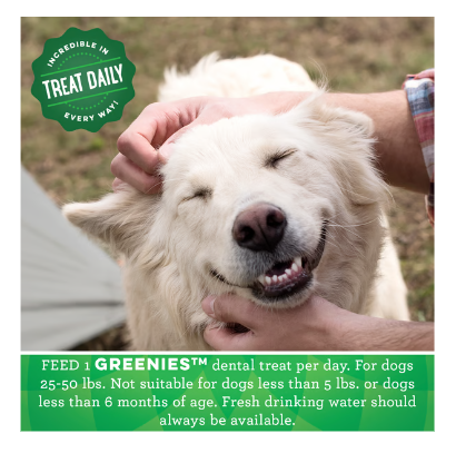 Greenies Regular Adult Dental Treats Original 764g